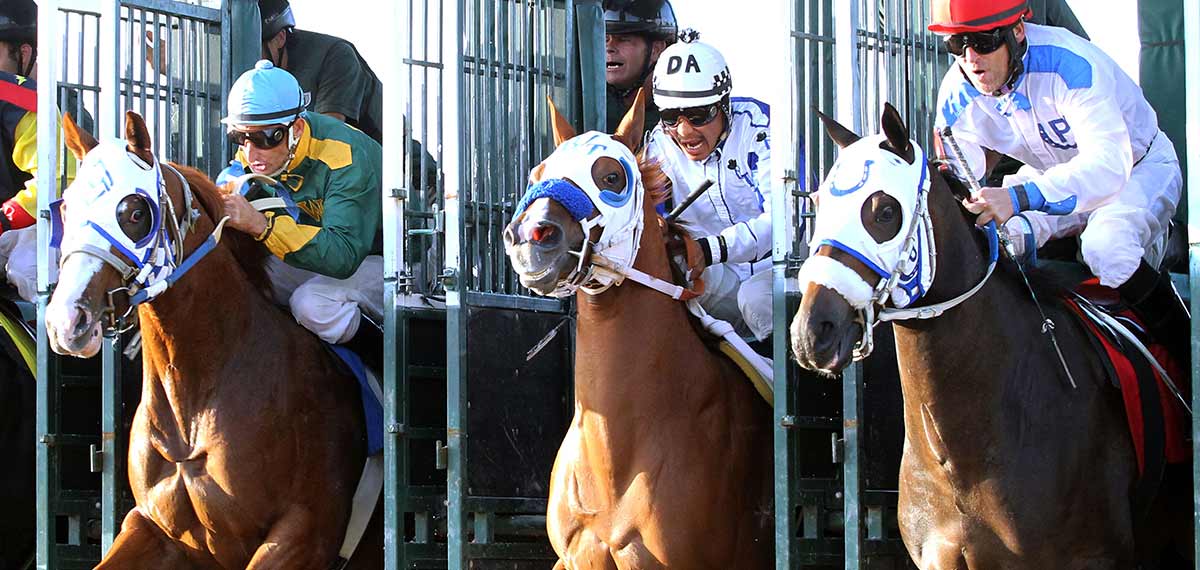 Quarter Horse Racing Stakes