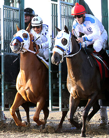 Quarter Horse Racing Stakes